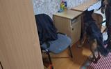 изображение_viber_2026-10-08_09-08-01-634